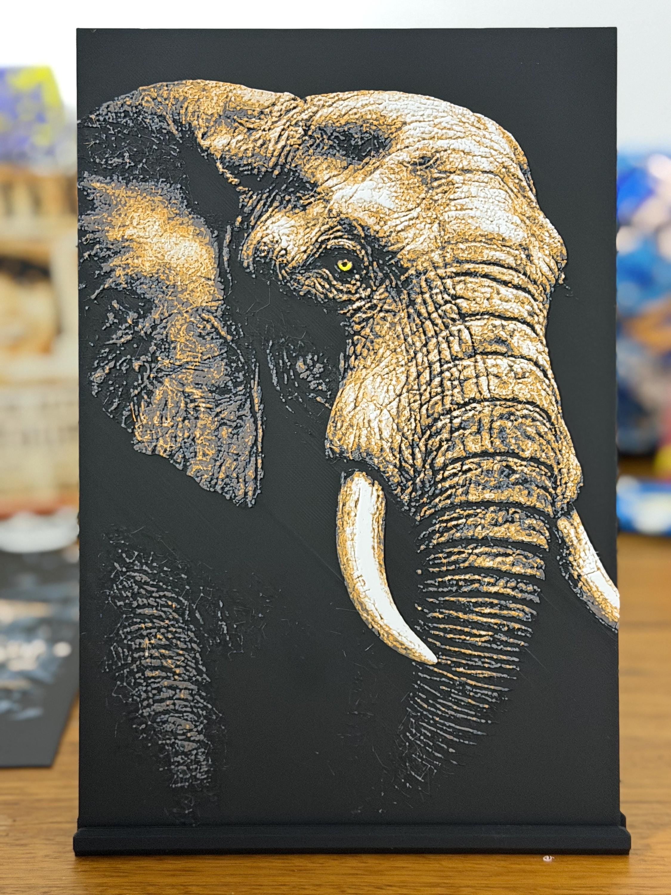 Safari Animal Collection