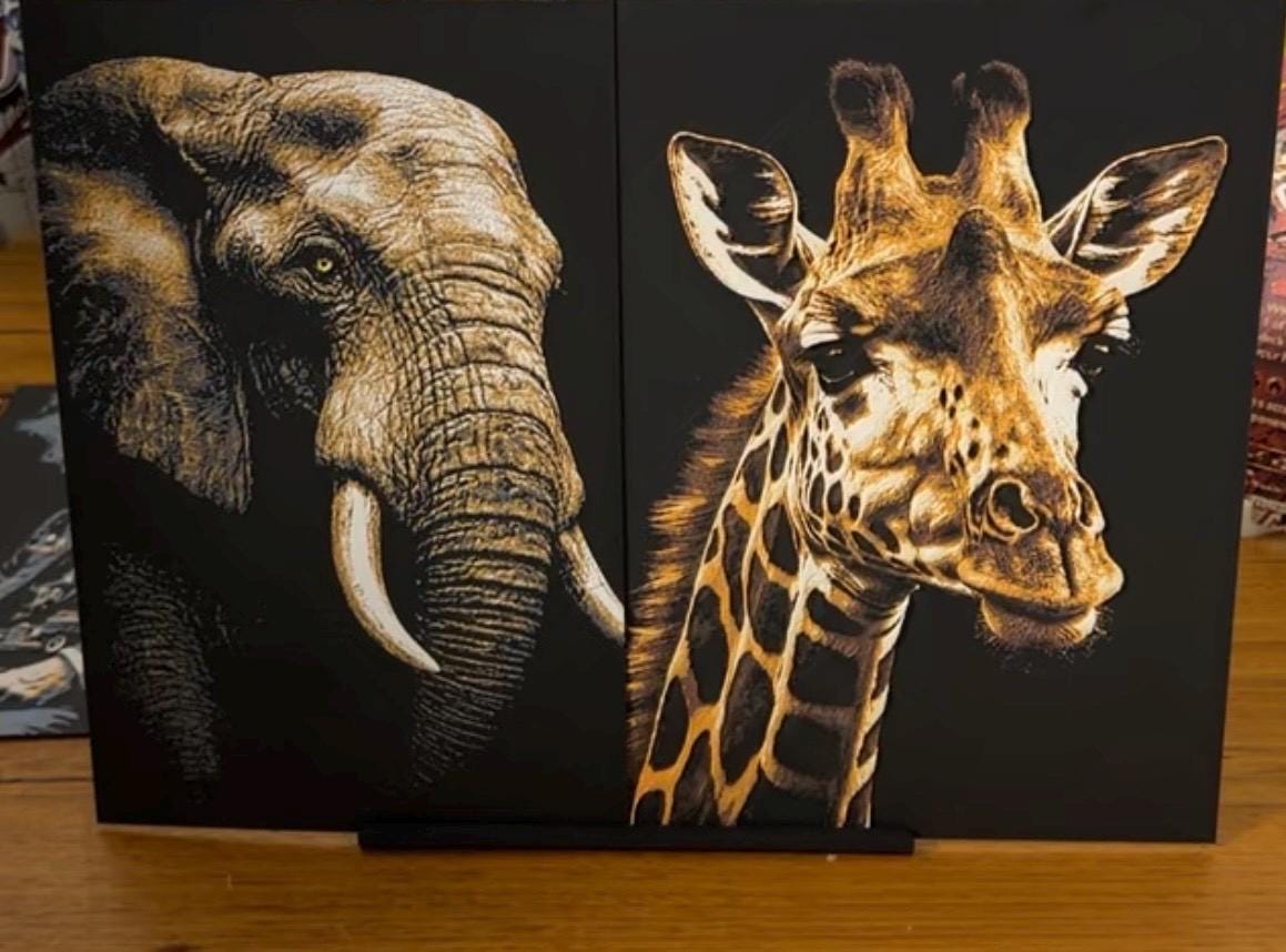 Safari Animal Collection