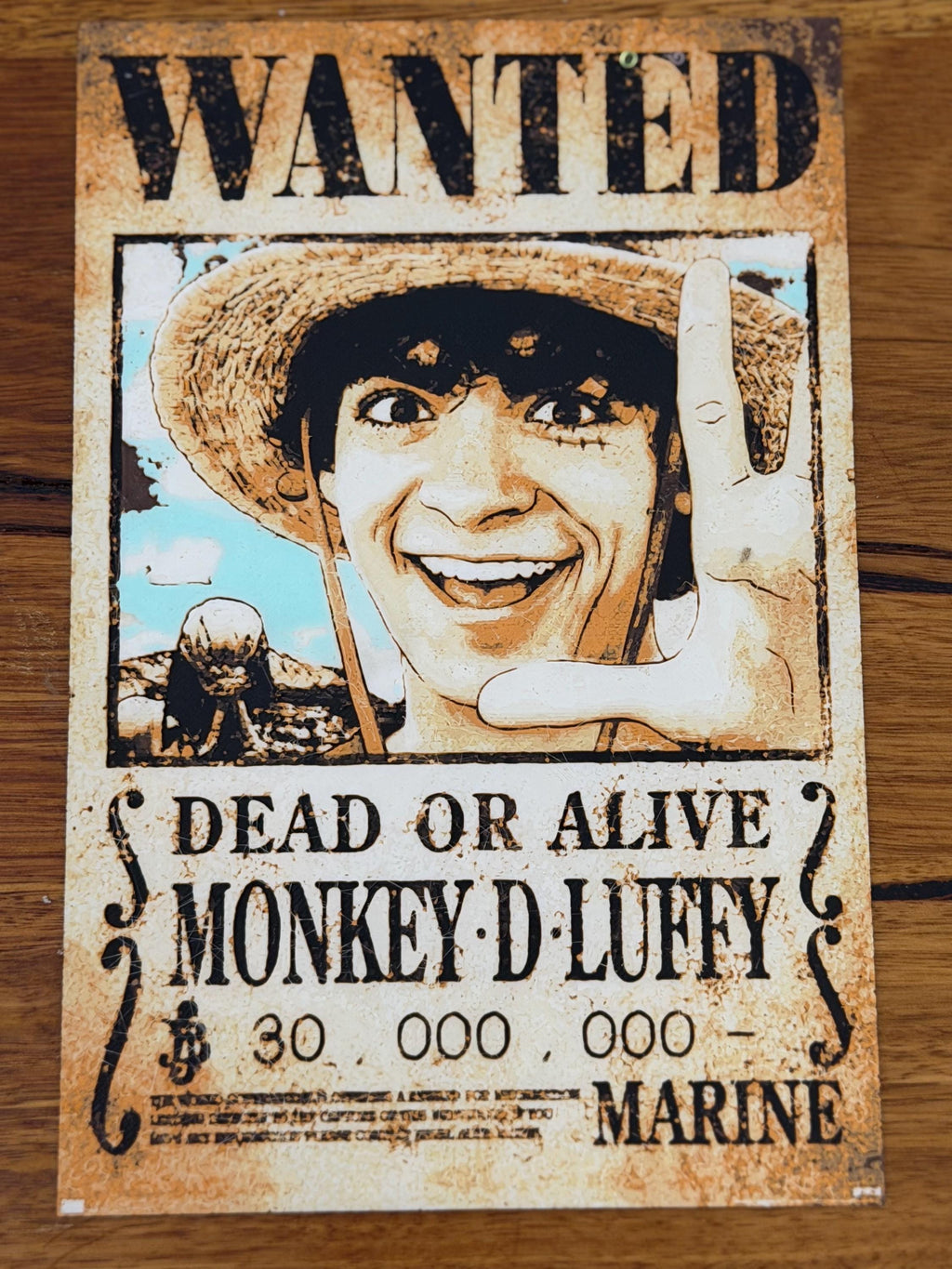 Monkey D. Luffy Wanted Poster
